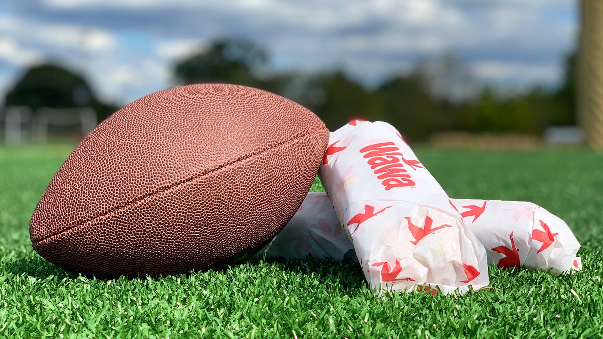 Wawa Hoagie and football